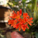 Incantevole Salicornia Vicino E Centro! By Alfareal Διαμέρισμα *